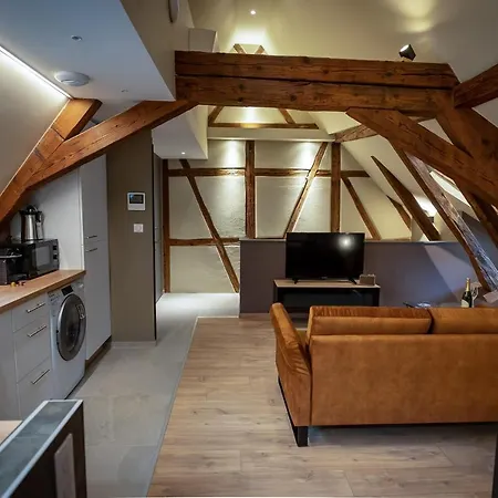 Serenity - De Prestige 4 Et 5 étoiles - 2, 4 Et 6 Personnes- Centre Historique Appartement Colmar