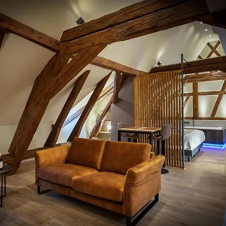 Serenity - De Prestige 4 Et 5 étoiles - 2, 4 Et 6 Personnes- Centre Historique Colmar