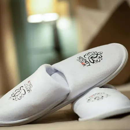 Serenity - De Prestige 4 Et 5 Etoiles - 2, 4 Et 6 Personnes- Centre Historique アパート コルマール