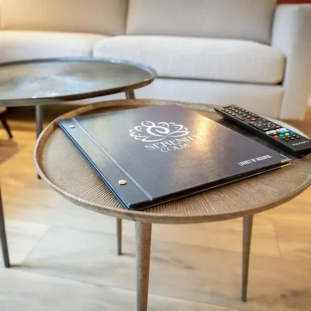 Serenity - De Prestige 4 Et 5 Etoiles - 2, 4 Et 6 Personnes- Centre Historique アパート コルマール