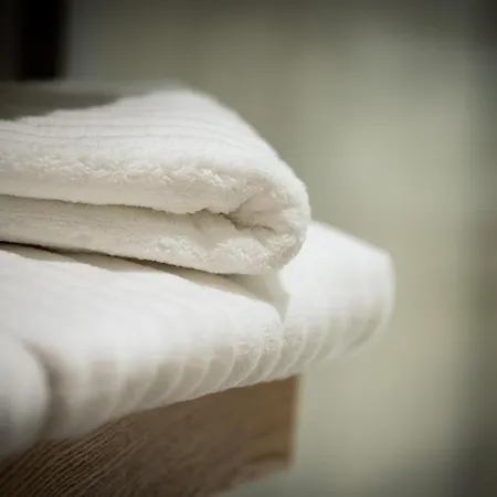 Apartment Serenity - De Prestige 4 Et 5 Etoiles - 2, 4 Et 6 Personnes- Centre Historique Colmar