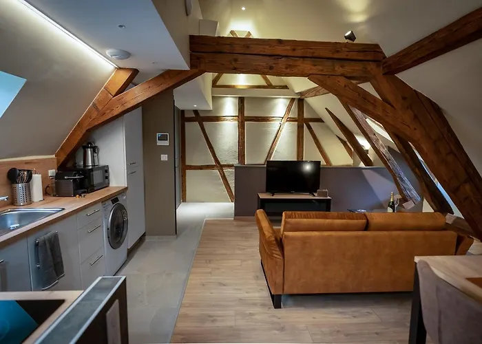 Serenity - De Prestige 4 Et 5 Etoiles - 2, 4 Et 6 Personnes- Centre Historique 公寓 科尔马