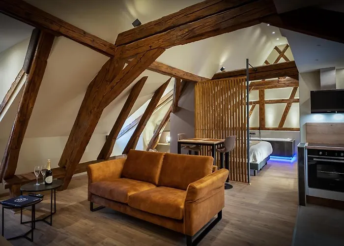 Serenity - De Prestige 4 Et 5 Etoiles - 2, 4 Et 6 Personnes- Centre Historique Colmar