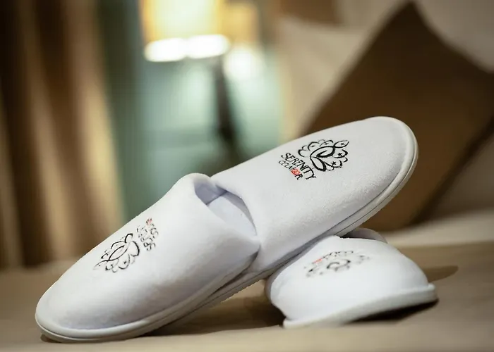 Serenity - De Prestige 4 Et 5 Etoiles - 2, 4 Et 6 Personnes- Centre Historique 公寓 科尔马