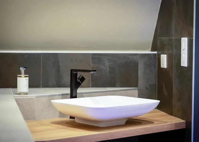 Serenity - De Prestige 4 Et 5 Etoiles - 2, 4 Et 6 Personnes- Centre Historique * Colmar