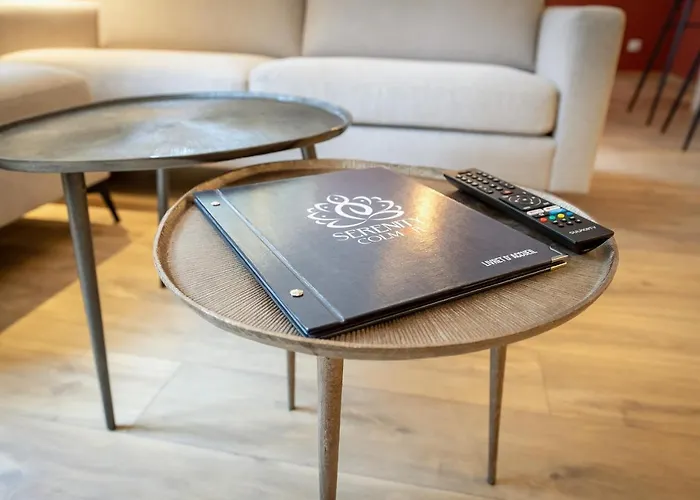 Serenity - De Prestige 4 Et 5 Etoiles - 2, 4 Et 6 Personnes- Centre Historique Apartmán Colmar