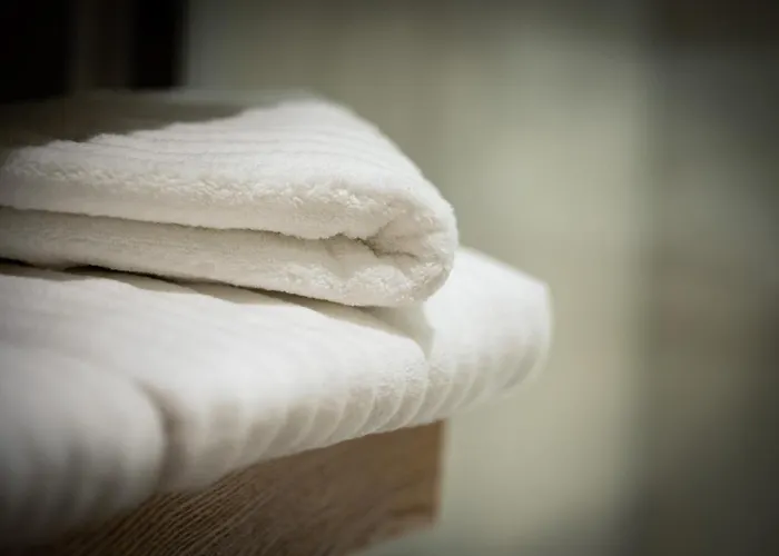 公寓 Serenity - De Prestige 4 Et 5 Etoiles - 2, 4 Et 6 Personnes- Centre Historique 科尔马