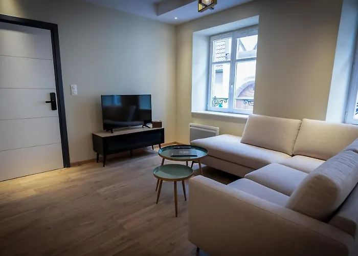 Serenity - De Prestige 4 Et 5 Etoiles - 2, 4 Et 6 Personnes- Centre Historique Colmar