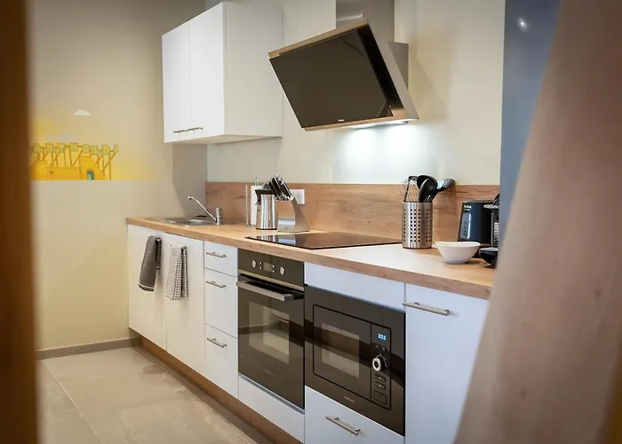 Serenity - De Prestige 4 Et 5 Etoiles - 2, 4 Et 6 Personnes- Centre Historique Apartmán Colmar